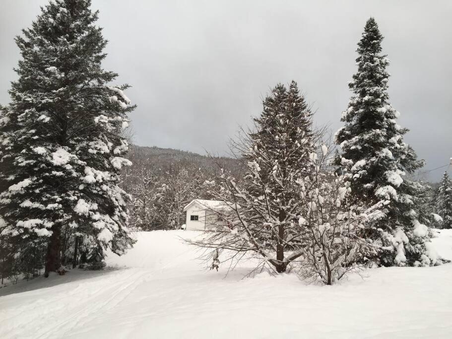 Chalet Au Bord Du St-Maurice La Tuque Bagian luar foto