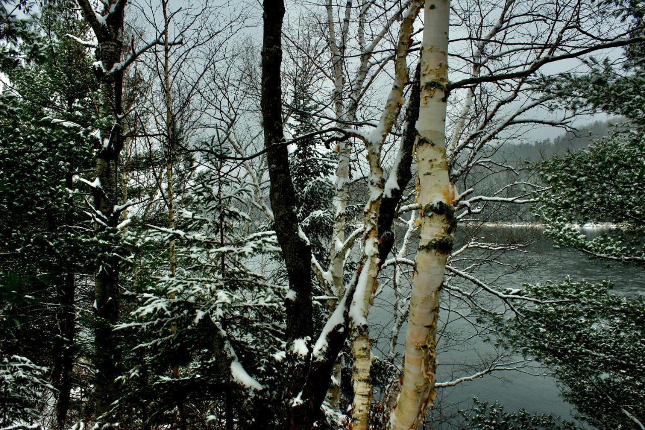Chalet Au Bord Du St-Maurice La Tuque Bagian luar foto