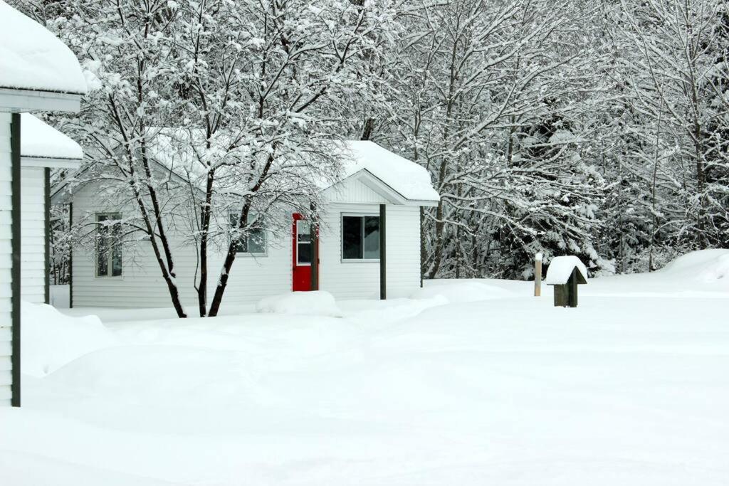 Chalet Au Bord Du St-Maurice La Tuque Bagian luar foto