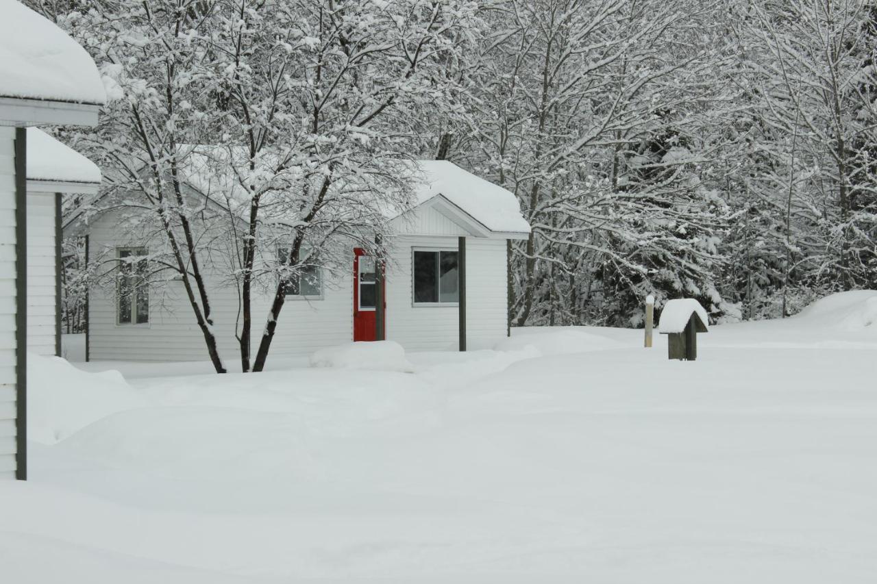 Chalet Au Bord Du St-Maurice La Tuque Bagian luar foto