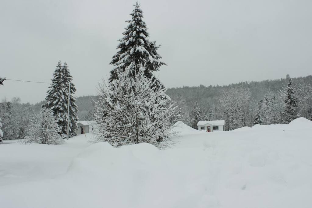 Chalet Au Bord Du St-Maurice La Tuque Bagian luar foto